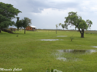 Torrential rain at Reserva Don Luis